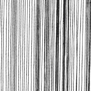 Fadenvorhänge 2 Stk. 100 x 250 cm Schwarz