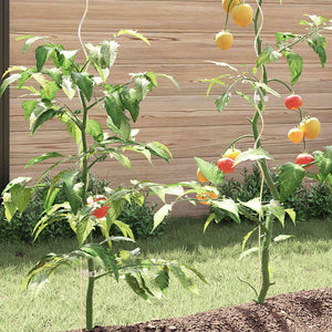 Tomaten-Spiralstäbe 20 Stk. 170 cm Verzinkter Stahl