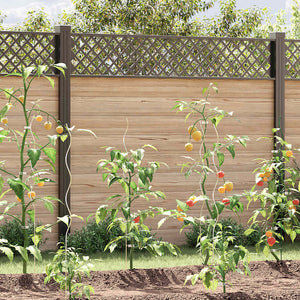 Tomaten-Spiralstäbe 5 Stk. 110 cm Verzinkter Stahl