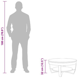 Couchtisch mit Ablage Altholz Massiv 65x32 cm