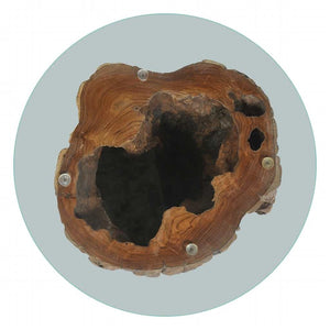 vidaXL Table basse en teck et verre 50x40 cm