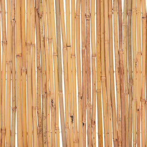Gartenzaun Bambus 500 x 50 cm
