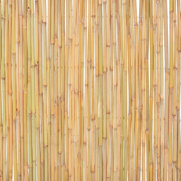 Gartenzaun Bambus 300 x 100 cm