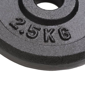 Hantelscheiben aus Gusseisen - 8 x 2,5 kg