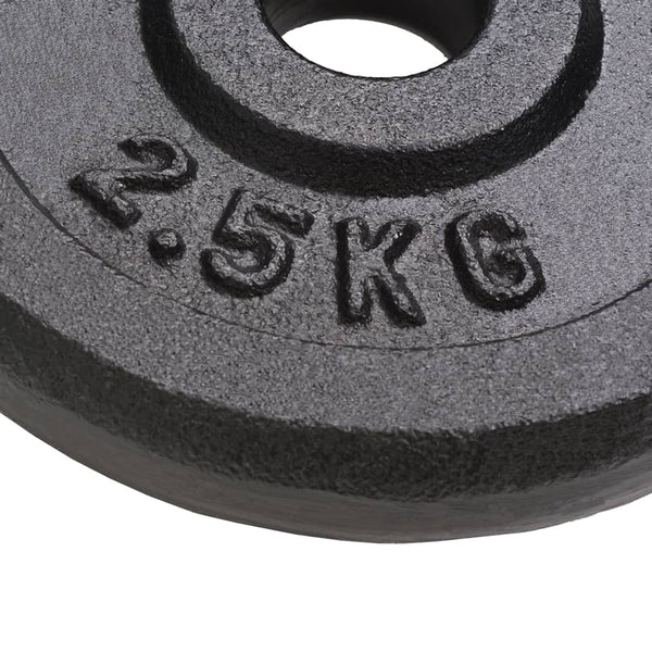 Hantelscheiben aus Gusseisen - 8 x 2,5 kg