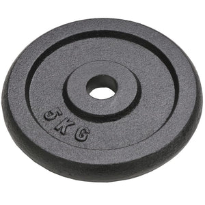 Hantelscheiben aus Gusseisen – 2x10 kg & 2x5 kg