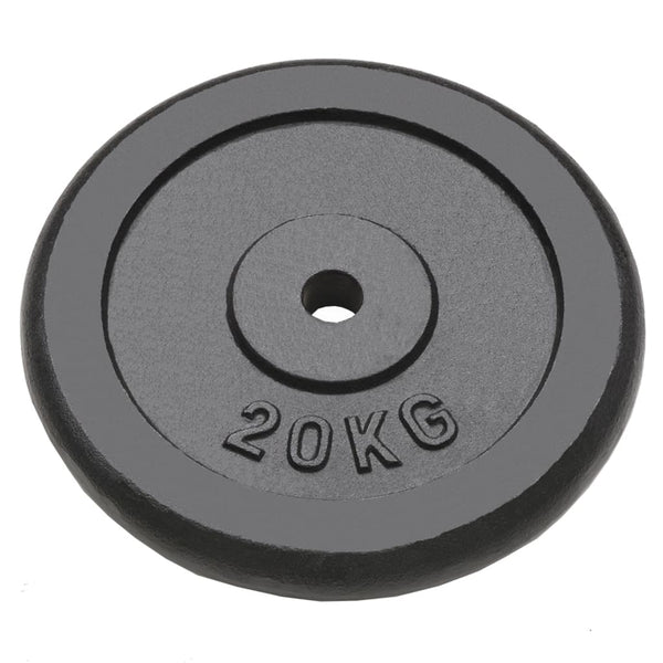 2 x 20 kg Hantelscheiben aus Gusseisen