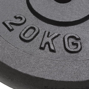 2 x 20 kg Hantelscheiben aus Gusseisen