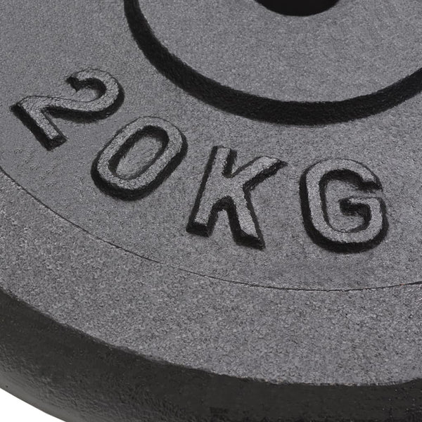 2 x 20 kg Hantelscheiben aus Gusseisen