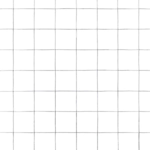Drahtzaun Verzinkter Stahl 25x1,5 m Silbern
