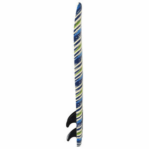 170 cm Surfbrett