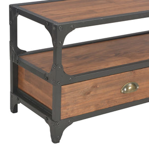 TV-Schrank mit 2 Schubladen 120x30x40 cm Massivholz Kiefer