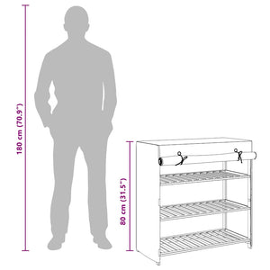 Schuhschrank mit Abdeckung Grau 79 x 40 x 80 cm Stoff
