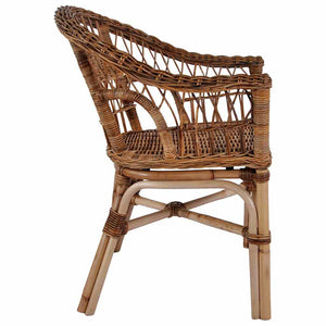 Gartenstühle 2 Stk. Natürliches Rattan Braun