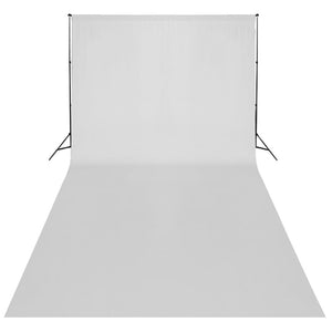 vidaXL Kit studio photo avec fond blanc 600x300 cm et lumières