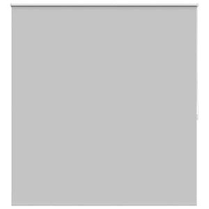 Verdunkelungsrollo 164,4 x 175 cm, Stoffbreite 160 cm, grau