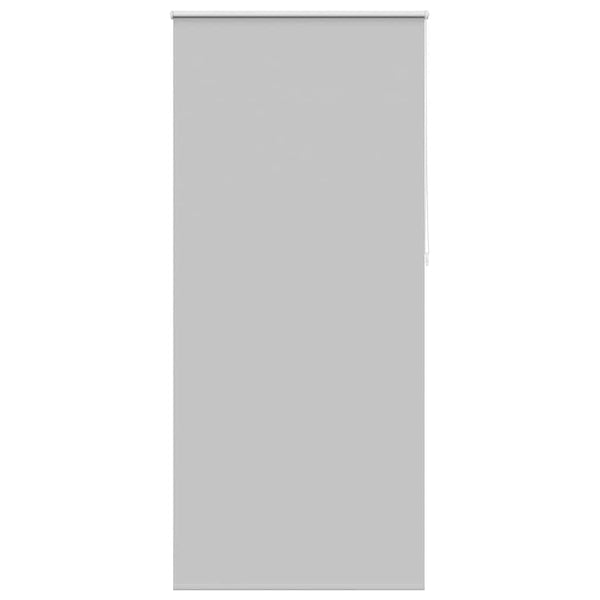 Verdunkelungsrollo 104,4 x 230 cm, Stoffbreite 100 cm, grau
