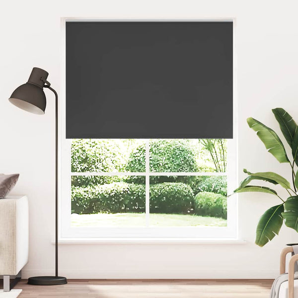 Verdunkelungsrollo Schwarz 164,4x230cm