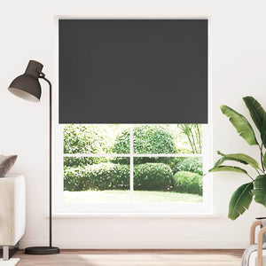 Verdunkelungsrollo 164,4 x 230 cm, Stoffbreite 160 cm, schwarz