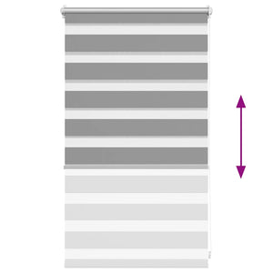 Graues Zebra Rollo 50,9x100cm