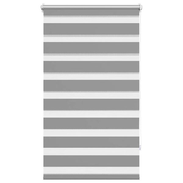 Graues Zebra-Rollo 70,9x120 cm