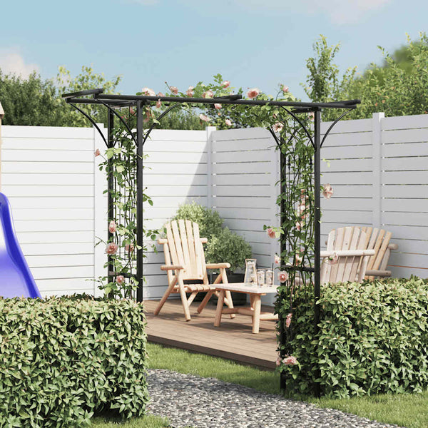 Gartenbogen für Kletterpflanzen 200x204 cm