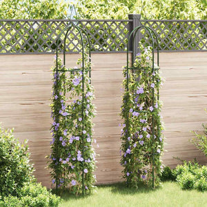 Rosen Rankturm 2er Set