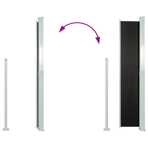 Seitenmarkise 160x300 cm Schwarz