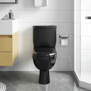 Schwarze Toilette mit Spülkasten