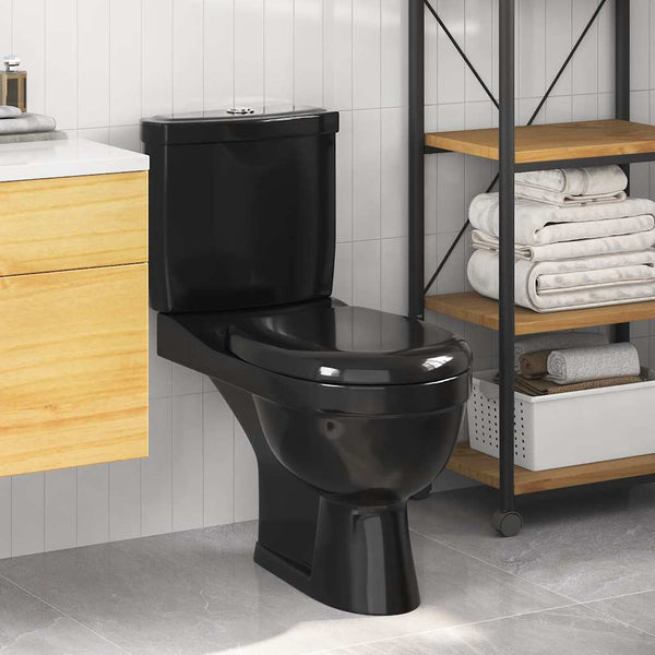 Schwarze Toilette mit Spülkasten