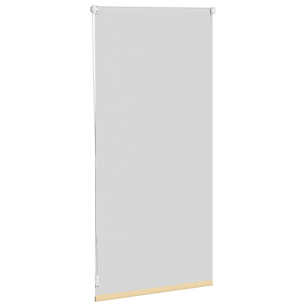 Verdunkelungsrollo 44,4 x 100 cm, Stoffbreite 40 cm, Beige