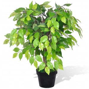 Künstlicher Zwerg-Ficus 60cm mit Topf