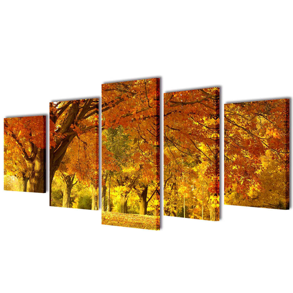 Ahorn Bilder Set 200 x 100 cm