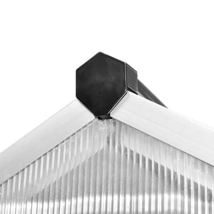Verstärktes Aluminium Gewächshaus mit Fundament 4,6 m²