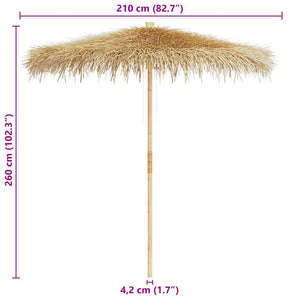 Bambus Sonnenschirm Bananenblatt Dach 270cm