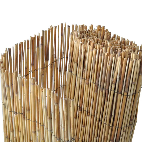 Schilfzaun 500x100 cm