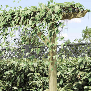 Holz Gartenpergola 205 cm