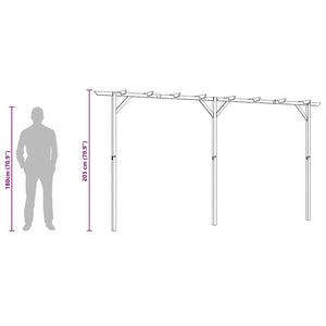 Holz Gartenpergola 410 cm