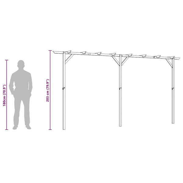 Holz Gartenpergola 410 cm