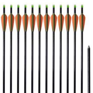 Fiberglas Pfeile für Compoundbogen, 30 Zoll, 12er-Set