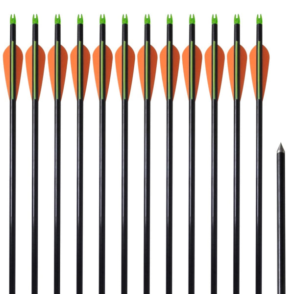 Fiberglas Pfeile für Compoundbogen, 30 Zoll, 12er-Set
