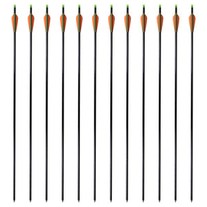 Fiberglas Pfeile für Compoundbogen, 30 Zoll, 12er-Set