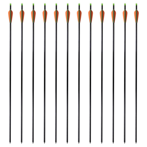 Fiberglas Pfeile für Compoundbogen, 30 Zoll, 12er-Set