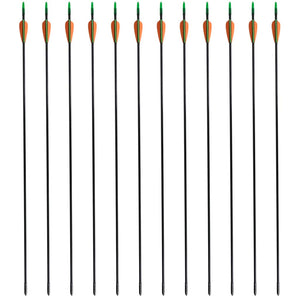Recurvebogen Pfeile Fiberglas 30 Zoll, 12er-Set