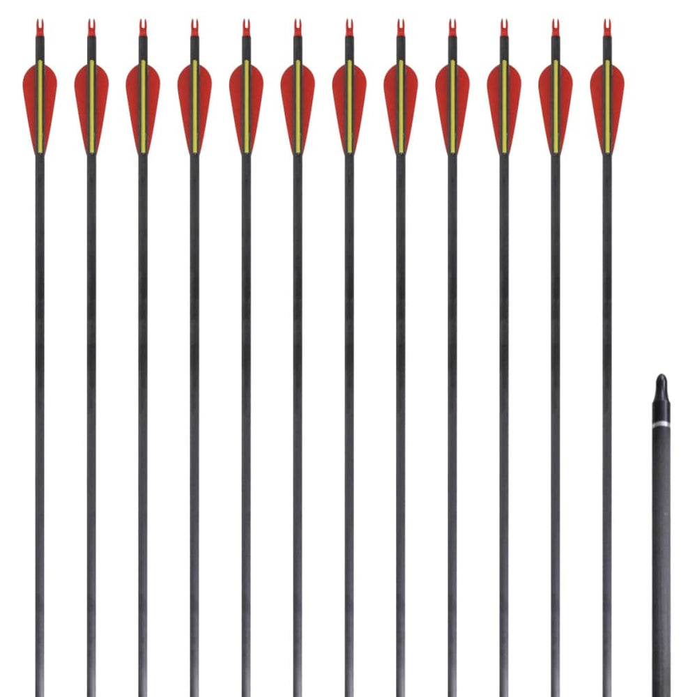 Carbon Pfeile für Recurvebogen, 30 Zoll, 12er Set