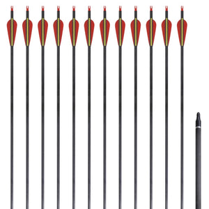 Carbon Pfeile für Recurvebogen, 30 Zoll, 12er Set