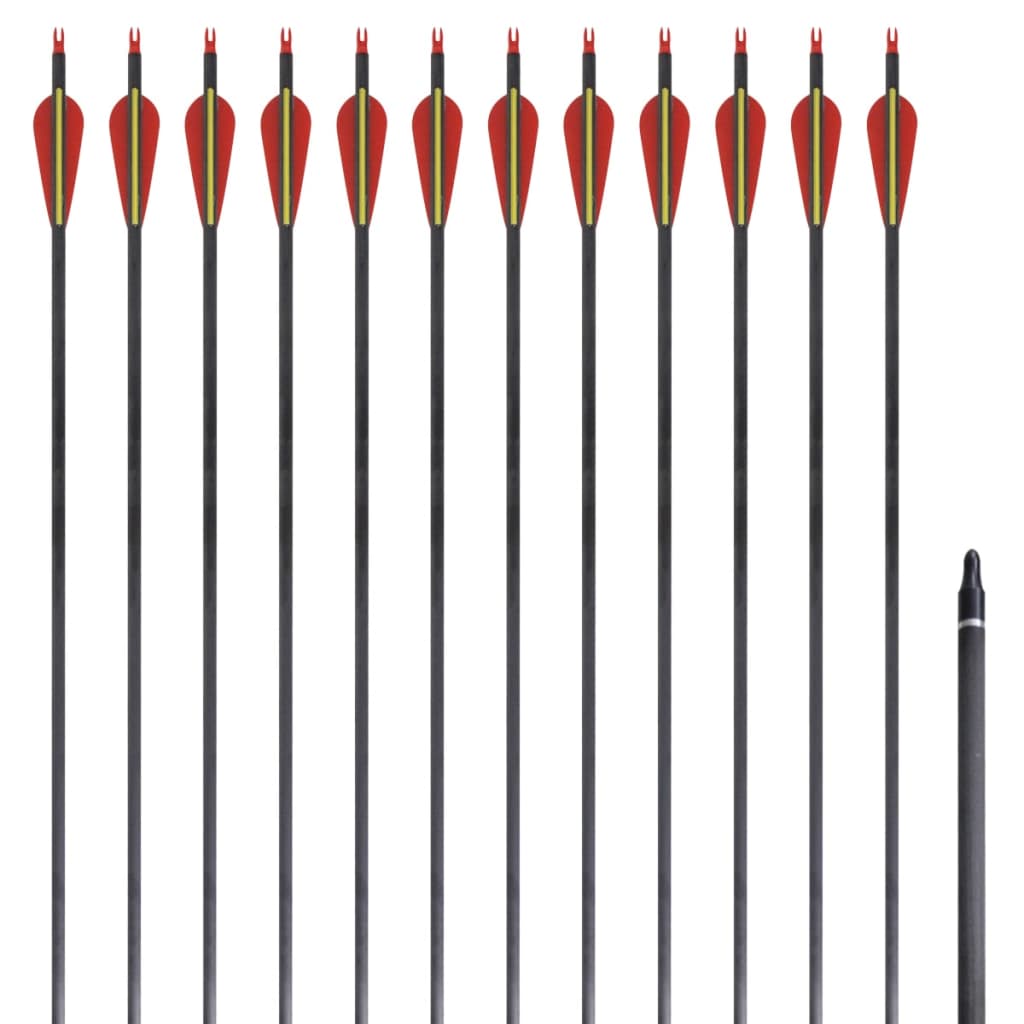 Carbon Pfeile für Recurvebogen, 30 Zoll, 12er Set