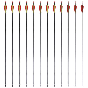 Carbon Pfeile für Recurvebogen, 30 Zoll, 12er Set