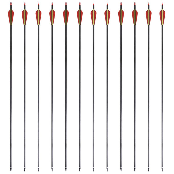 Carbon Pfeile für Recurvebogen, 30 Zoll, 12er Set