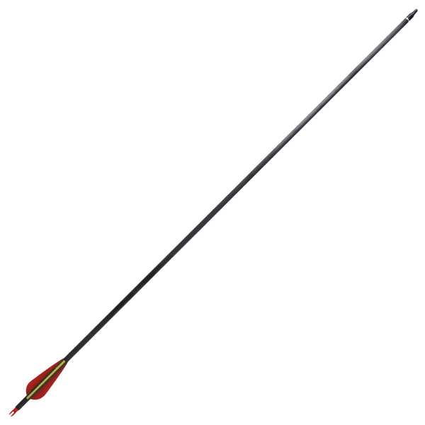 Carbon Pfeile für Recurvebogen, 30 Zoll, 12er Set